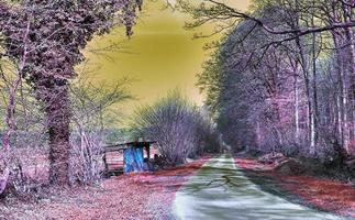 bela paisagem infravermelha roxa em alta resolução foto