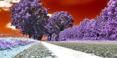 bela paisagem infravermelha roxa em alta resolução foto