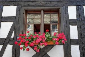 linda moldura de janela antiga com caixa de flores. gerânio ou guindaste em uma caixa de janela. moldura de janela rural. foto