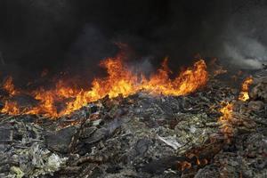 fogo na floresta. ignição da grama. fogo e fumaça. danos ao meio ambiente. foto