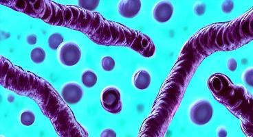 bactérias e vírus na superfície da pele, membrana mucosa ou intestino, modelo de mers, hiv, gripe, escherichia coli, salmonela, klebsiella, legionella, mycobacterium tuberculosis, modelo de micróbios foto