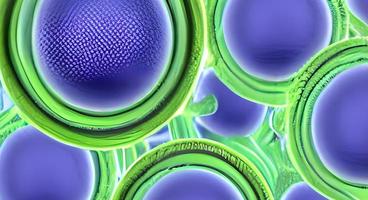 bactérias e vírus na superfície da pele, membrana mucosa ou intestino, modelo de mers, hiv, gripe, escherichia coli, salmonela, klebsiella, legionella, mycobacterium tuberculosis, modelo de micróbios foto