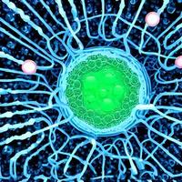 close-up de células de vírus ou bactérias na luz de fundo foto