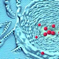 vírus, bactérias, fundo 3d médico de fungos. omicron, rinovírus, infecção por hpv, hiv, adenovírus, células do vírus da doença da gripe, anticorpo, bacteriófago foto