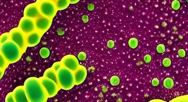 bactérias vírus ou germes células de microorganismos. Renderização foto