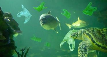 tartaruga marinha come saco plástico conceito de poluição do oceano foto