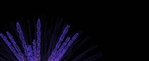 arbusto de néon futurista de fundo de moléculas. flor desabrochando feita de partículas atômicas roxas com linhas de renderização 3d no escuro. design abstrato com listras brilhantes e elementos redondos foto