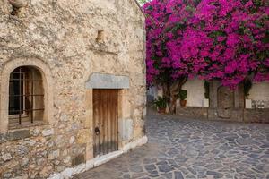 rua estreita e colorida na aldeia de kritsa na ilha de creta foto