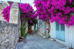 rua estreita e colorida na aldeia de kritsa na ilha de creta foto