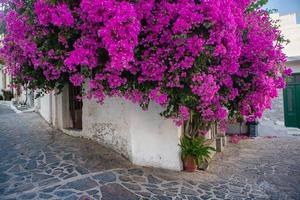 rua estreita e colorida na aldeia de kritsa na ilha de creta foto