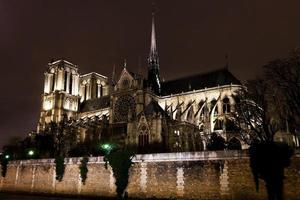 catedral notre dame de paris foto