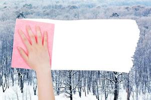 mão exclui madeiras de inverno por pano rosa foto