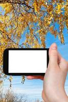 smartphone e galhos de bétula com folhas de outono foto