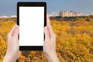 smartphone e floresta amarela de outono perto da cidade foto