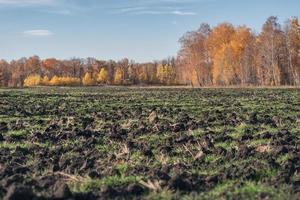 campos agrícolas preparados para a temporada de inverno. grandes torrões de terra no campo. foto