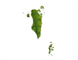 mapa do bahrein feito de folhas verdes no conceito de ecologia de fundo branco foto