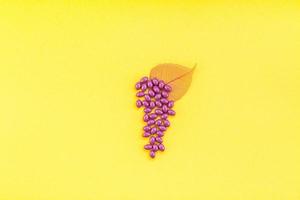pílulas de extrato de semente de uva suplemento nutricional foto