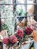 flores e plantas protea em pequena floricultura foto