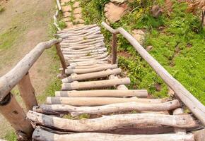 escada de madeira que fica ao ar livre, mostrando um caminho até o chão com grama verde. foto