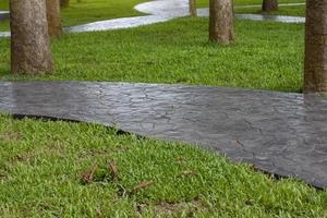 a calçada do parque é coberta com grama e grandes árvores para sombra. foto