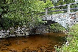 ponte de pedra e árvore foto