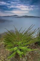 vista da paisagem de manhã cedo foto