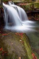 cachoeira de outono na floresta foto