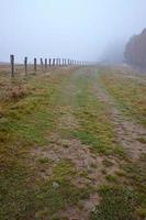 caminho de outono e neblina foto