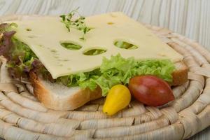 sanduíche com queijo foto