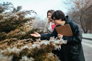 cientistas estão estudando espécies de plantas na floresta. foto