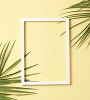 composição de folhas - folhas de palmeira verdes e moldura branca foto
