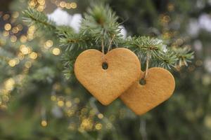 dois biscoitos de gengibre em forma de coração pendurados na árvore com luzes de bokeh. símbolo do dia dos namorados foto