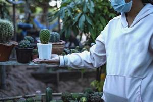 mulher jovem e atraente trabalhando com plantas decorativas no centro de jardim. supervisora examinando plantas em jardinagem foto