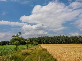 reken na Vestfália foto