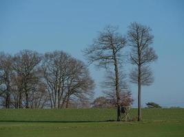 o muensterland alemão foto