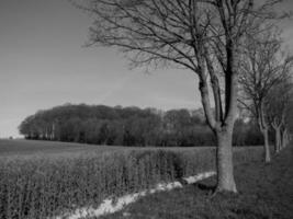 paisagem da Vestfália perto de billerbeck foto