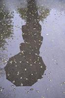 reflexo de uma mulher com um guarda-chuva no pavimento molhado durante a chuva. visão vertical foto