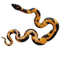 ilustração 3d de python com anéis de bismarck. foto