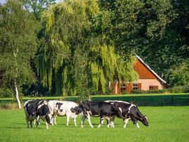 Winterswijk na Holanda foto