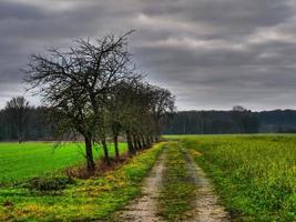 o muensterland alemão foto