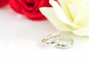 rosa vermelha e anel de casamento em branco foto