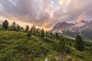 vida beleza cena natureza paisagem terra selvagem foto