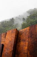 madeira da floresta nepalesa