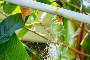 sistema de irrigação de água por aspersão de jardim foto