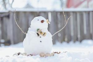 feliz natal e feliz ano novo cartão com cópia-space.many bonecos de neve em pé no inverno natal landscape.winter background.snowman com flores secas e pinheiros. bom feriado e celebração. foto