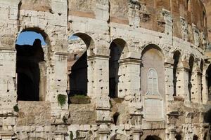 coliseu em roma foto