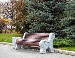 banco no parque outono. assento de madeira. foto