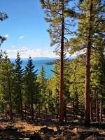 vista para a montanha no lago tahoe foto