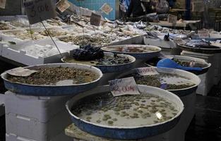 mercadorias em exposição em um mercado de peixe em nápoles, itália foto