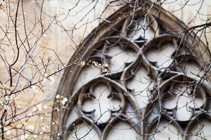 flor da primavera e muralha medieval, paris foto